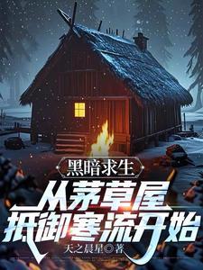 黑暗求生:从茅草屋抵御寒流开始 黑暗求生:从茅草屋抵御寒流开始